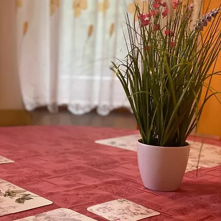 Alba Apartmany Zelezna Ruda Exterior photo