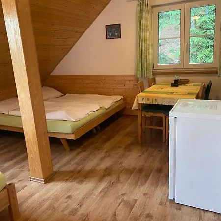 Alba Apartmany Zelezna Ruda Exterior photo