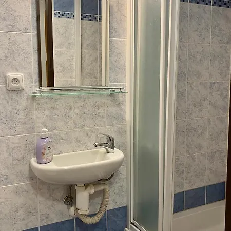 Alba Apartmany Zelezna Ruda Exterior photo