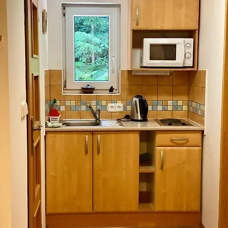 Alba Apartmany Zelezna Ruda Exterior photo