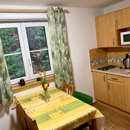 Alba Apartmany Zelezna Ruda Exterior photo