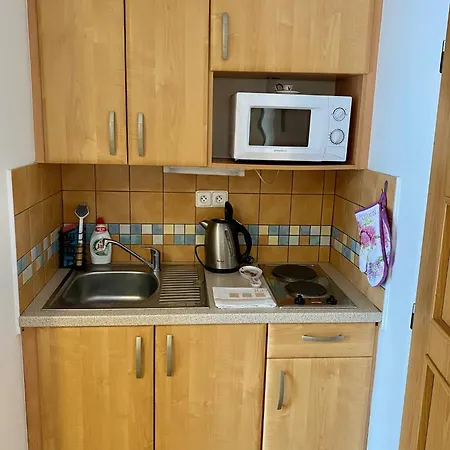 Alba Apartmany Zelezna Ruda Exterior photo