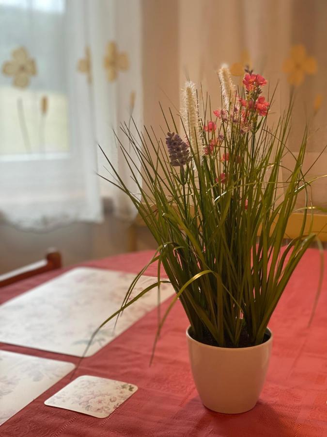 Appartement Alba *