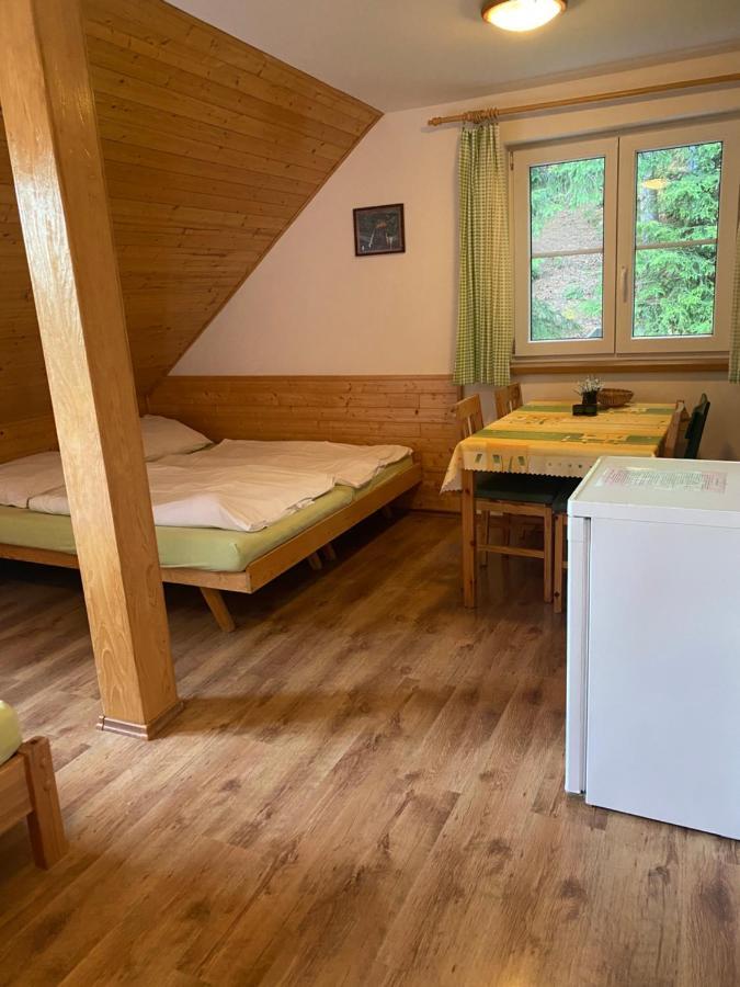 Alba Appartement Železná Ruda