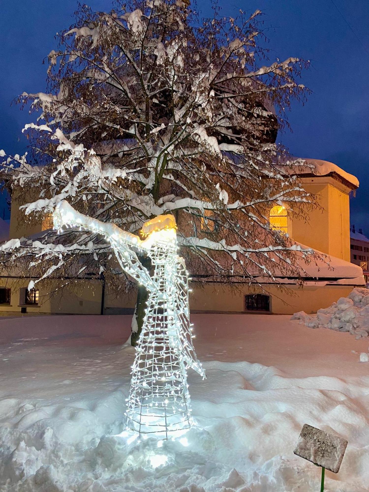 Alba Appartement Železná Ruda
