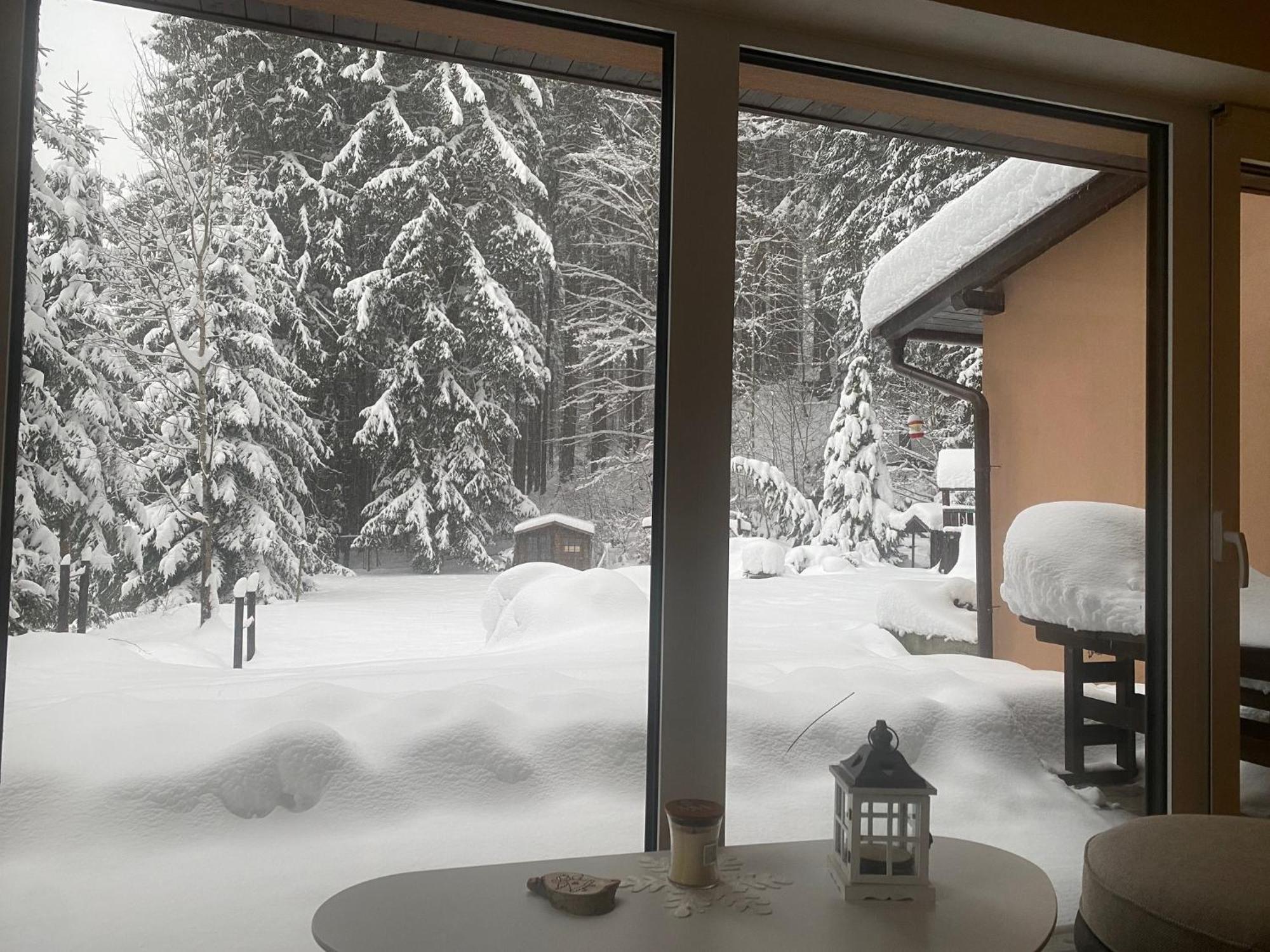 Appartement Alba Železná Ruda